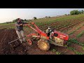 Desi jugad. is cultivated by small tractor Gujarat farmer || mini tractor