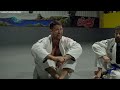 Z Guard Attacks For White Belts