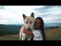 ARE WOLFDOGS DANGEROUS TO KIDS?
