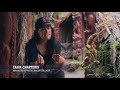 Māori - Children of Hawaiki. Film 01  New Zealand