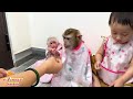 Monkey Kaka + Diem and Monkey Mit: The Ultimate Cuteness in Bibs!