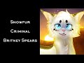 Songs that fit the Warrior Cats Part One!