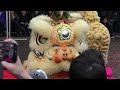 Chinese Lunar New Year Celebrations of Lion and Dragon Dance and other performers in Newcastle