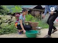 single mother: harvesting fruits and vegetables to sell for money.