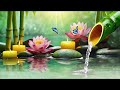 Relaxing Sleep Music and Water Sounds 🌿Spa Music, Stress and Anxiety Relief