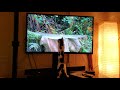 Cat TV 1