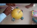क्या गागल को हम सुत्री बम से उरा सकते है !! Pataka experiment !! diwali pataka video
