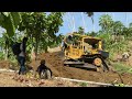 Great idea! CAT D6r XL bulldozer builds Residents' Plantation Cross Road