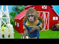Monkey Nana challenges Hide and Seek to escape from Awesome Maze with Trap | Monkey Nana