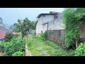 Walking in the rain||beautiful Indonesian countryside||heavy rain all day