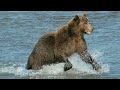 Wild Beauty of Alaska 4K: A Relaxing Journey Through Nature/ Alaska Life/ Relaxation Film