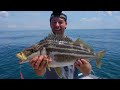 Fishing and Diving INCREDIBLE Remote Island Ground!