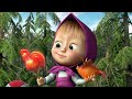 Masha y el Oso Castellano 🐻👧 NUEVO EPISODIO 💥 La frambuesa traviesa 🧺🍓 (Episodio 87)