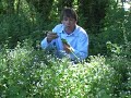 A FOREST GARDEN YEAR  Perennial crops for a changing climate  by Martin Crawford