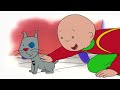 Caillou and the Swings | Caillou Cartoon