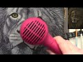 LION IN ACRYLIC WITH VOICEOVER