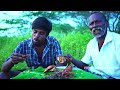 MONSTER MUD CRABS HUNTING | கலி ஆற்றில் வேட்டையாடிய முரட்டு கலி நண்டு | Delicious Crabs Pepper Fry |