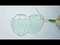 Learn to draw coconuts easily | learn to draw kindergarten children