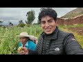 93 años VIVIENDO SÓLO una PAREJA en las montañas del Perú