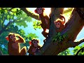 The Monkey Jungle Story: Mara's Journey to Wisdom  #MaraTheMonkey #MonkeyJungleStory