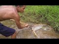 Build Bamboo House On The Water To Catch Fish With Big Swimming Pool - Full Video