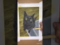 Black Cat portrait - full timelapse!