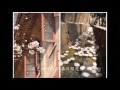 樱园梦2002-2013幻灯片MV