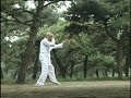 Shang Style Xing Yi Quan