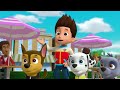 Chase Saves a Silly Squid from a Museum +more! | PAW Patrol | Cartoons for Kids ⭐️2H Compilation