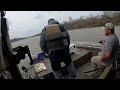 Catfish bites skipjack in half bumping Tennessee River