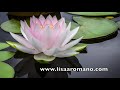 Powerful Healing Guided Meditation Connect to Higher Self / Lisa A. Romano Meditation