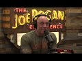 Joe Rogan Experience #1847 - Theo Von