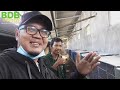 PENANGK4RAN KHUSUS BURUN9 CUC4K IJO TERBESAR DI INDONESIA