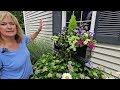 Creating Pockets of Beauty In A Suburban Garden. July Garden Tour 2024.