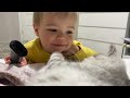 Adorable Baby Falls in Love with the Cutest Kitten