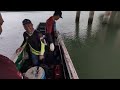 Langsung panik....😱‼️spot kolong jembatan ini jadi sarang ikan monster barramundi.