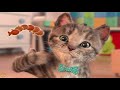 Play Fun Pet Care Kids Game -Little Kitten My Favorite Cat - Fun Cute Kitten For Children & Toddlers