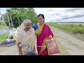 আজ ঠাকুমা বাড়িয়ে চলে গেল আমাদের কাঁদিয়ে নিজে ও কাঁদলেন! Sundarban Diary