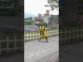 Robot Dog Tiktok China