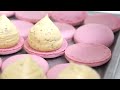 How to make sweet macarons - Korean food