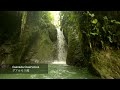 Mystical Cloud Forest of Ecuador | Mindo | Cinematic 4k (No Talk) 【エクアドル ミンド 雲霧林】