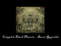 Crippled Black Phoenix - Burnt Reynolds (Full song & HQ)