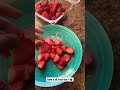 Have y’all tried this? 🍓 #snackvideo #shorts #shortsfeed