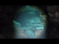 Freediving the No Mount Cave at Wekiva