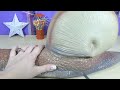 What's Inside Huge Squishy Snail Toy! Snail Slime! Homemade Squeeze Toy