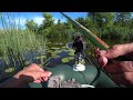 CATCHING LARGE CRUCIAN CARP ON A FLOAT - FISHING WITH A FISHING ROD IN WATER LILIES