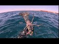 Spear Fishing - Raw Footage