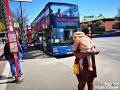 driving around with city Bus in my beautiful city Hamburg Germany 🇩🇪