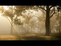 MIND-SOOTHING MEDITATION MUSIC