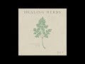 Sto Nii - Healing Herbs Vol. 1 (Full Lo Fi EP)